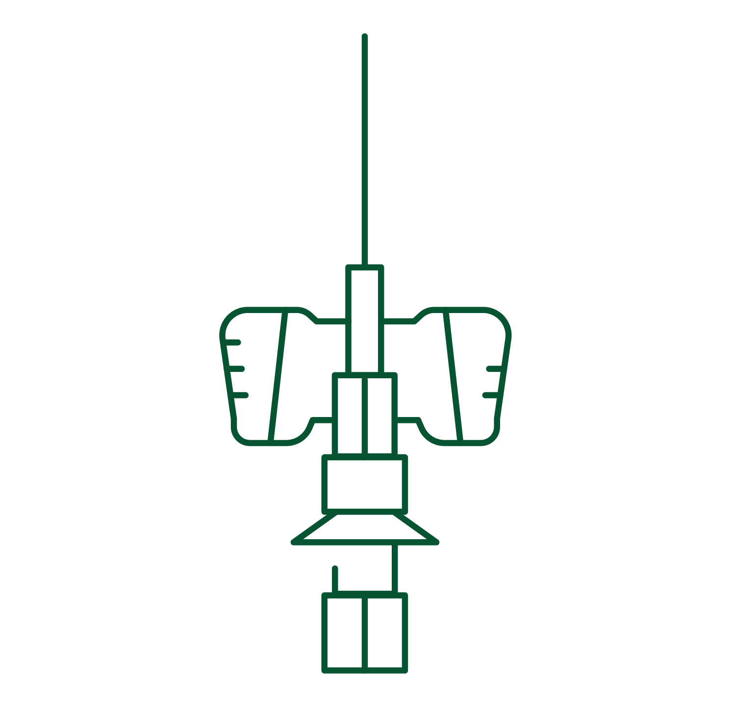 Vascular Access Management